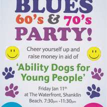 Ability dog disco poster