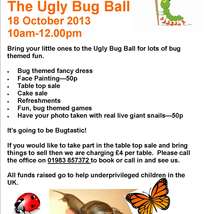 Ugly bug ball