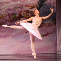 Vienna ballet