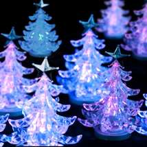 Illuminated christmas trees