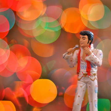 Elvis by pagedooley