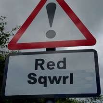 Red sqwrl sign
