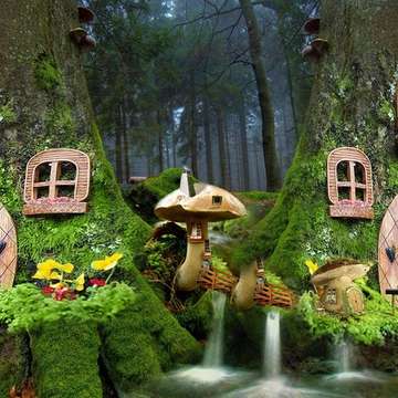 Enchanted woodland fairy festival image
