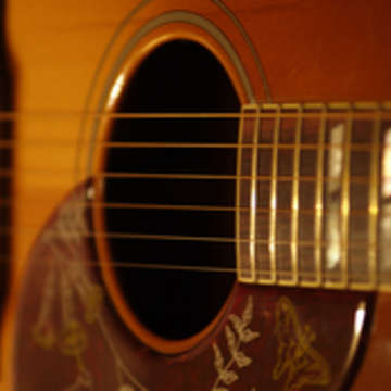 Vgc guitar