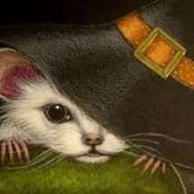 Mice and hat 1 
