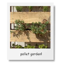 Pallet garden
