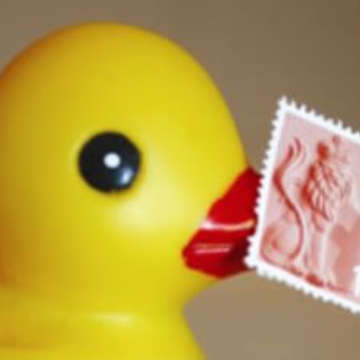Post it duck