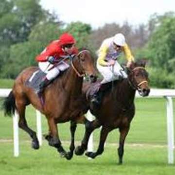 Horse race pic 1 