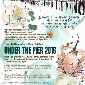Under the pier 2016   poster by hannah george makings