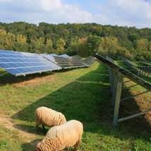 Solar farm vogt