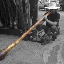 Didgeridoo david rebers hammer photography