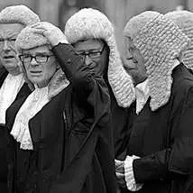 Judges wig steve punter