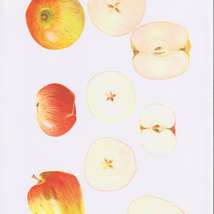 Three iow apples