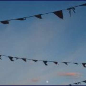 Bunting outwithmycamera