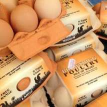 Farmers market eggs