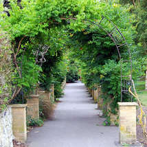 Ventnor botanic garden walk way ronsaunders47