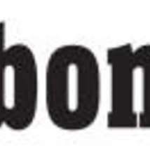 Borbonesa logo