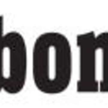Borbonesa logo
