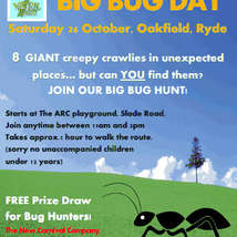 Big bug day poster