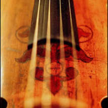 Cello asluthier