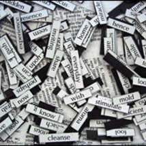 Magnetic poetry surrealmuse