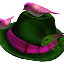 Hat with birds torley
