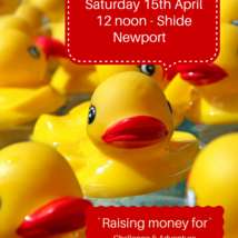 Duck race poster png