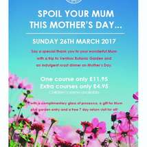 Mother s day poster