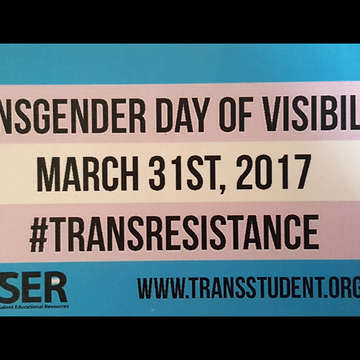 Transgender day of visibility image