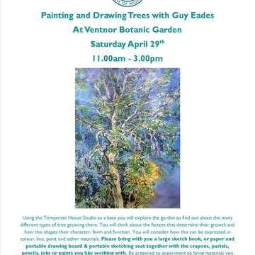 Painting and drawing trees april 2017