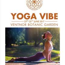Yogavibe 2017 poster v2