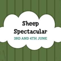 Sheep spectacular fb header