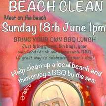 Binnel bay beach clean