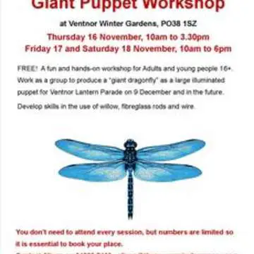 Giant dragonfly puppet ventnor 002  1 