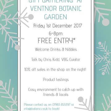 Christmas shopping event poster public