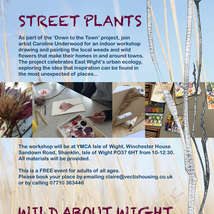 Wild about wight street plants art workshop