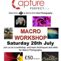 Macro workshop on the wight copy