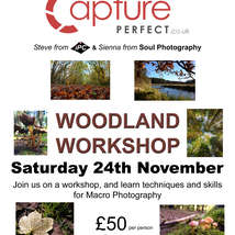 Woodland workshop on the wight copy