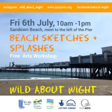 Wild about wight   beach sketches splashes square