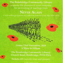 Never again poster