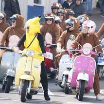 Banana monkey scooters