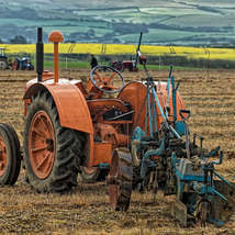Ploughing match by emma gee