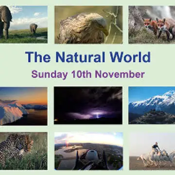 Natural world a4 1