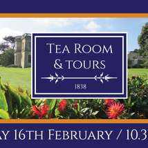 Tea rooms and tours