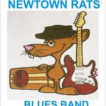 Newtown rats