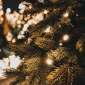 Christmas tree and lights by michael voroshnin