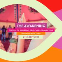 The awakening web banners %283%29