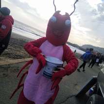 Lobby lobster blue seas protection mascot 2022