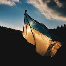 Ukrainian flag in front of silhouette of forest by max kukurudziak
