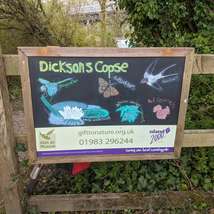 Dickson's copse board